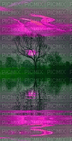 pink place - GIF เคลื่อนไหวฟรี