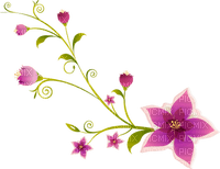 purple flowers - 免费PNG