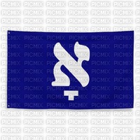 Yiddish Flag - png grátis