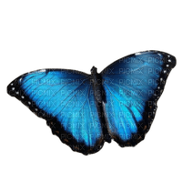 Butterfly - gratis png