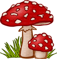 mushroom - darmowe png