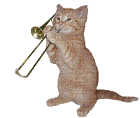 Kaz_Creations Animated Cat Kitten Playing Trumpet 🎺 - Free animated GIF