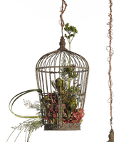 bird cage anastasia - nemokama png