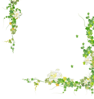 Green white flowers leaves deco [Basilslament] - gratis png