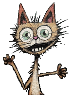 nbl-cat - GIF animado grátis