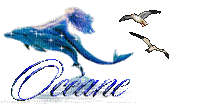 oceane et dauphin - GIF animé gratuit