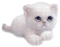 Y.A.M._Fantasy Animals cat - PNG gratuit