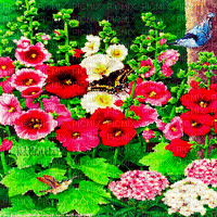 Y.A.M._Summer landscape background flowers - Gratis geanimeerde GIF