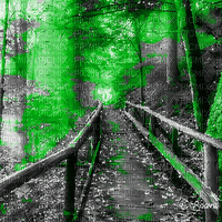 soave background animated autumn forest - GIF เคลื่อนไหวฟรี