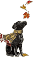 Autumn Fall Dog Chien - ücretsiz png