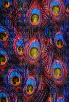 Kaz_Creations Deco Peacock Backgrounds Background - besplatni png