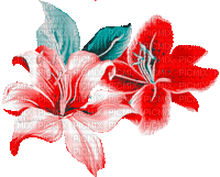Y.A.M._Summer flowers - 無料のアニメーション GIF