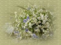 bg-blommor---background-flowers - PNG gratuit