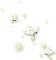 background Glühwürmchen - ilmainen png