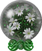 Sphere margherite laurachan - Bezmaksas animēts GIF
