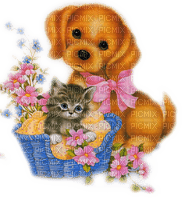 loly33 chiot chaton - 免费PNG