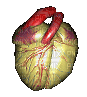 heart beating gif - Besplatni animirani GIF