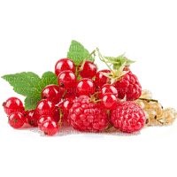 red berries Bb2 - png gratuito