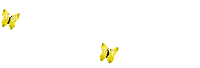 BUTTERFLY YELLOW gif papillon jaune - Darmowy animowany GIF