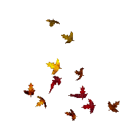 autumn animated leaves fly gif kikkapink - Animovaný GIF zadarmo