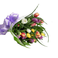 tulipes web charmille - PNG gratuit