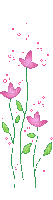 flor - Gratis animerad GIF