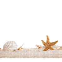 Kaz_Creations Sea-Shells-Sand - δωρεάν png