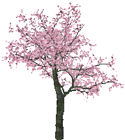 Drzewo - GIF animé gratuit