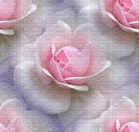 chantalmi fond rose fleur - png gratis