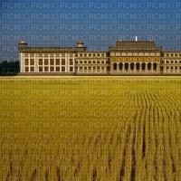 Wheat Field and Palace - gratis png