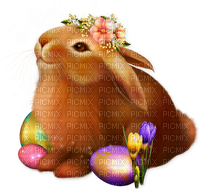 Easter.Cluster.Bunny.Rabbit.Eggs.Tulips.Flowers - Free PNG
