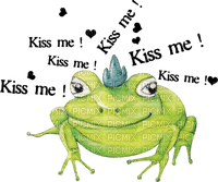 dolceluna deco kiss me frog fantasy green prince - png gratis