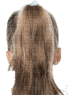Haare - δωρεάν png
