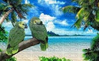 birds - 免费PNG