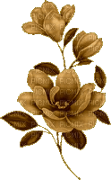 vintage flowers deco - GIF animasi gratis