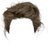 Haare Perücke - zdarma png