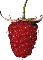 raspberry Bb2 - Free PNG