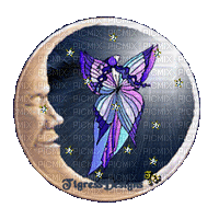moon fairy globe - Nemokamas animacinis gif