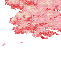 sakura tree - GIF เคลื่อนไหวฟรี