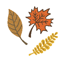 Fall Autumn - Безплатен анимиран GIF