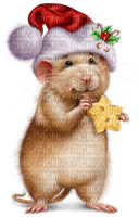 Ratón con estrella de queso - png gratuito