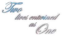soave text two lives as one wedding blue brown - png gratis