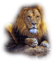 leon by EstrellaCristal - kostenlos png