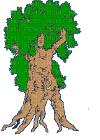tub arbre - Бесплатный анимированный гифка