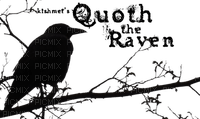 quoth the raven - PNG gratuit