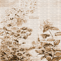 Y.A.M._summer landscape background flowers Sepia - Бесплатный анимированный гифка