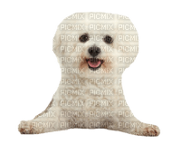 white poodle dog - PNG gratuit