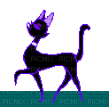 cica - Darmowy animowany GIF