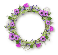 cadre cercle fleur frame flowers circle