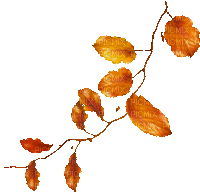 soave deco autumn leaves animated branch - Free animated GIF